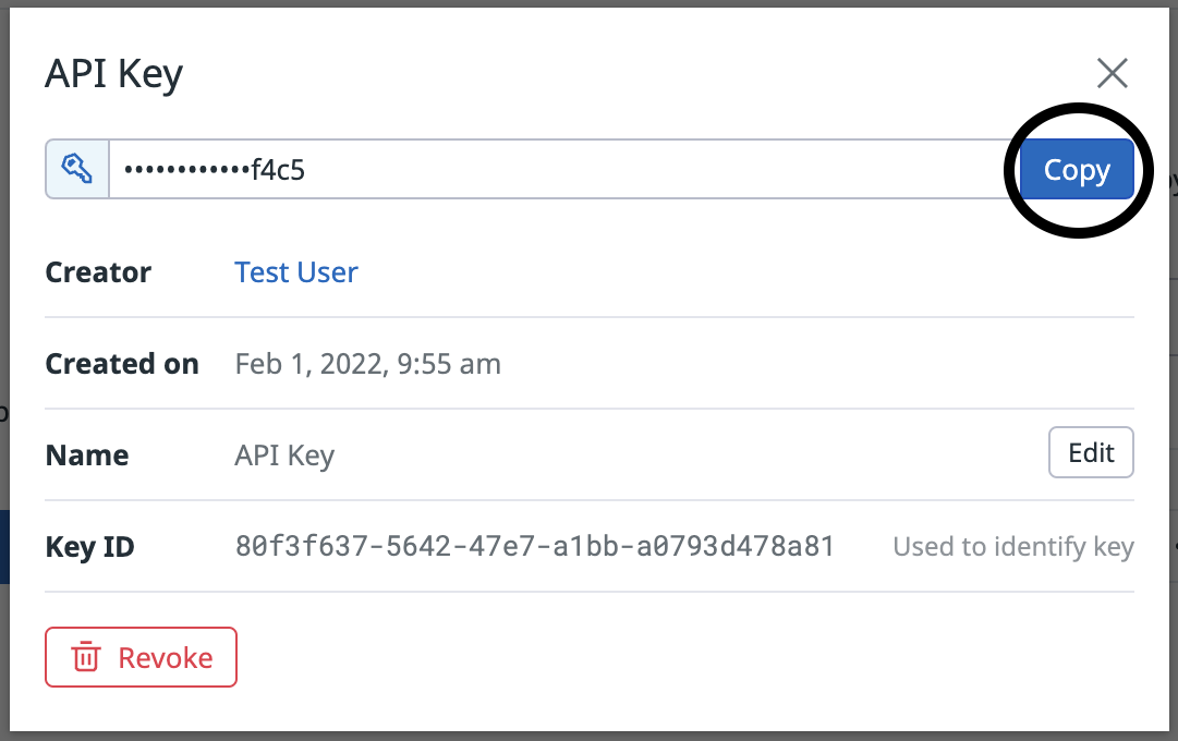 Copy API Key