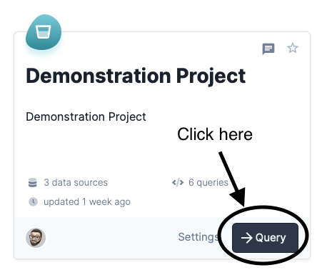 The query button